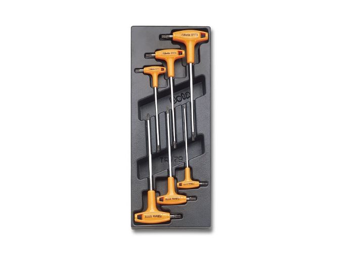set-imbusuri-torx-tip-t-in-suport-termoformat-t5562
